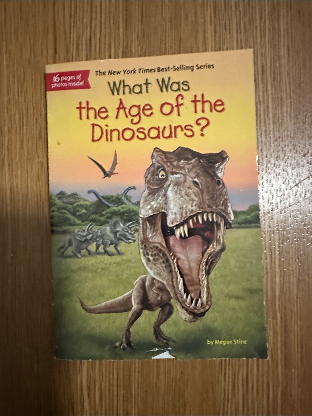 ❤️ What Was the Age of the Dinosaurs? - Kids Book